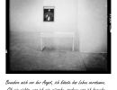 polanoid1