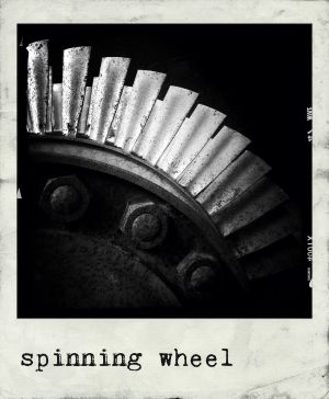 polanoid2