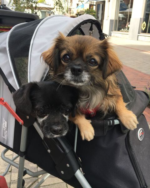 ffb3ecad eb03 49a5 aa07 3c503fc44c7c9d58ca2a 9652 4909 92a0e5582a8db62