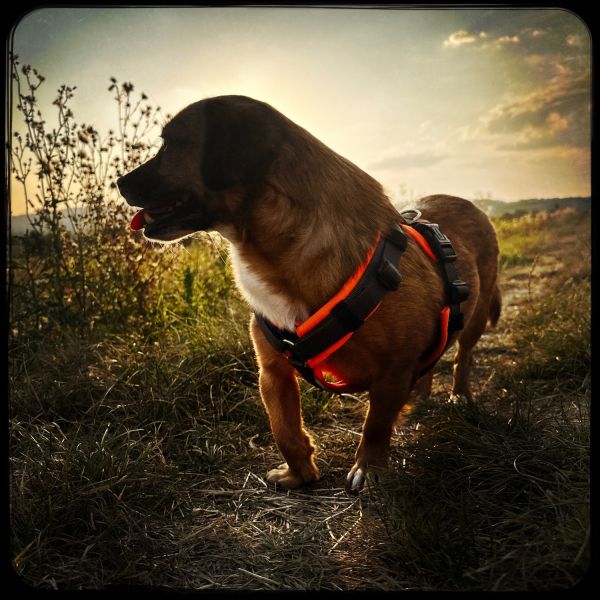 tg hipstamaticphoto.508690