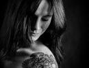 dsc4733 sw